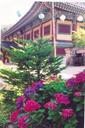 South Korea, Seoul